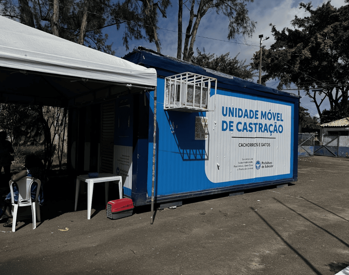 Atendimento do Castramóvel segue no CSU de Castelo Branco até o dia 6