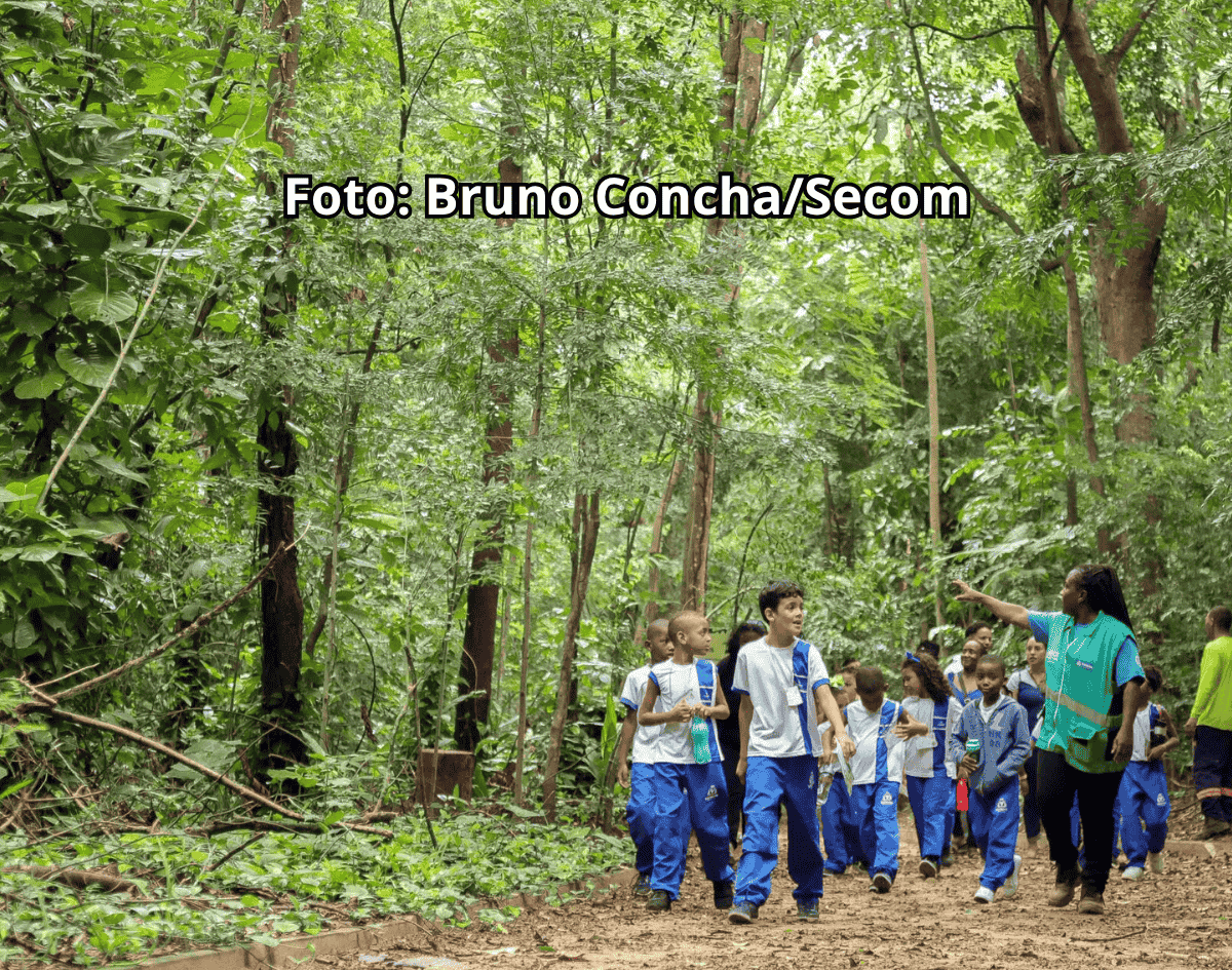 Na Semana do Meio Ambiente, Jardim Botânico de Salvador recebe visita de crianças e programa internacional
